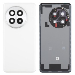 COVER POSTERIORE PER ONEPLUS 13 1+13 (CPH2655 CPH2653 PJZ110 CPH2649).