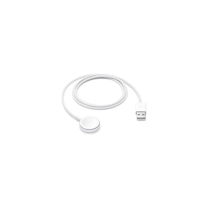 Apple Cavo Magnetico Ricarica Apple Watch USB-A 1m MW6A3ZM/A