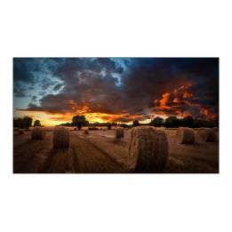 SAMSUNG MONITOR DIGITAL SIGNAGE 55 LED 4K UHD 16:9 500 CDM, VM55B-U,..