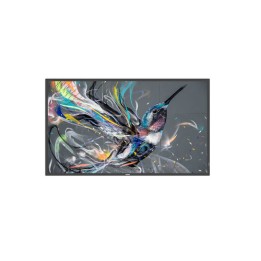 PHILIPS MONITOR DIGITAL SIGNAGE 42,5 LED Q-LINE 16:9 400 CD/M 8MS 4KU.
