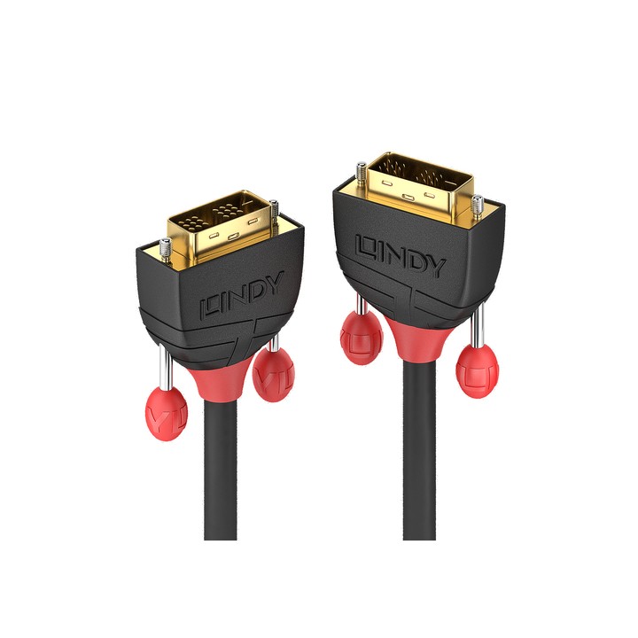 LINDY CAVO DVI-D SINGLE LINK BLACK LINE, 2M