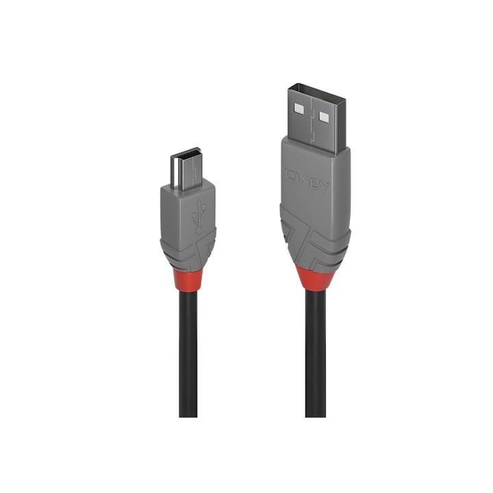 LINDY CAVO 1M USB 2.0 KABEL A/MINI-B, ANTHRA