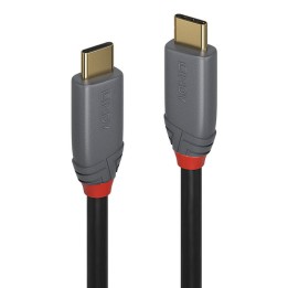Cavo USB 3.2 Tipo C Anthra Line, 10Gbps, PD 100W , 3m USB Tipo C Masc.