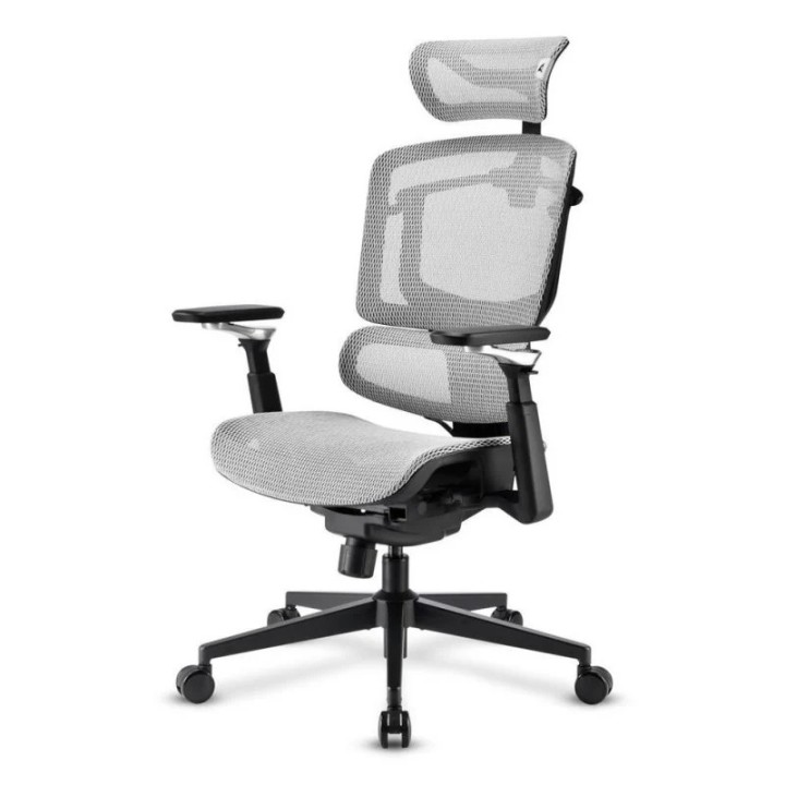 SHARKOON SEDIA OFFICE FABRIC SEAT MESH 4D ARMREST 5 HEIGHTS ADJUSTABL.