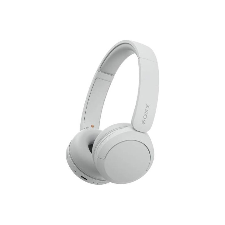 Sony Cuffie Wir/BT Mic WH-CH520 White