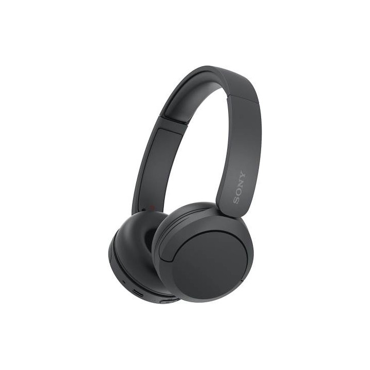 Sony Cuffie Wir/BT Mic WH-CH520 Black
