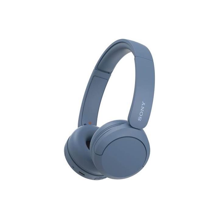 Sony Cuffie Wir/BT Mic WH-CH520L Blue