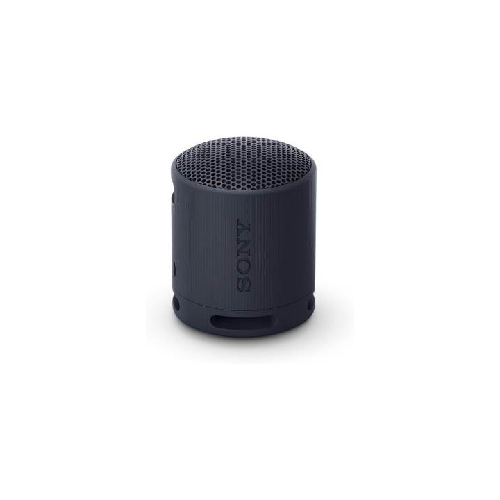Sony SRS-XB100 Speaker Wireless Bluetooth Nero