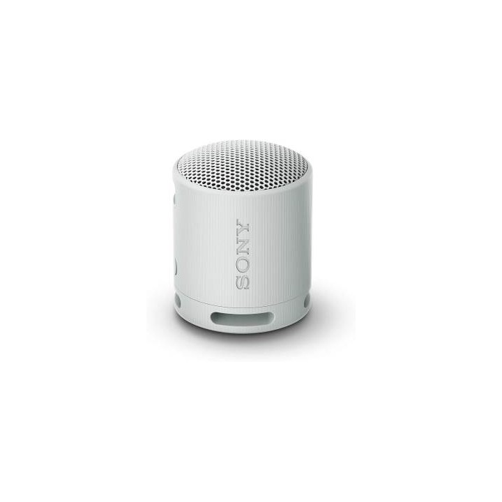 Sony SRS-XB100 Speaker Wireless Bluetooth Grigio