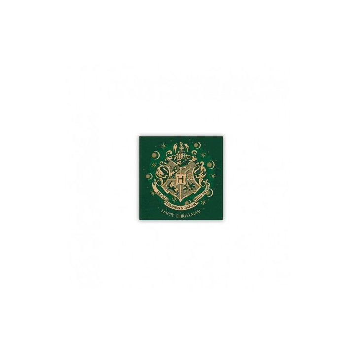ABYSTYLE HARRY POTTER - Calamita: "Hogwarts Green"