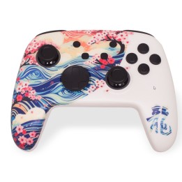 RGB Switch1&2/PC Wireless Controller - Dragon's Soul