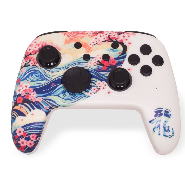 RGB Switch1&2/PC Wireless Controller - Dragon's Soul