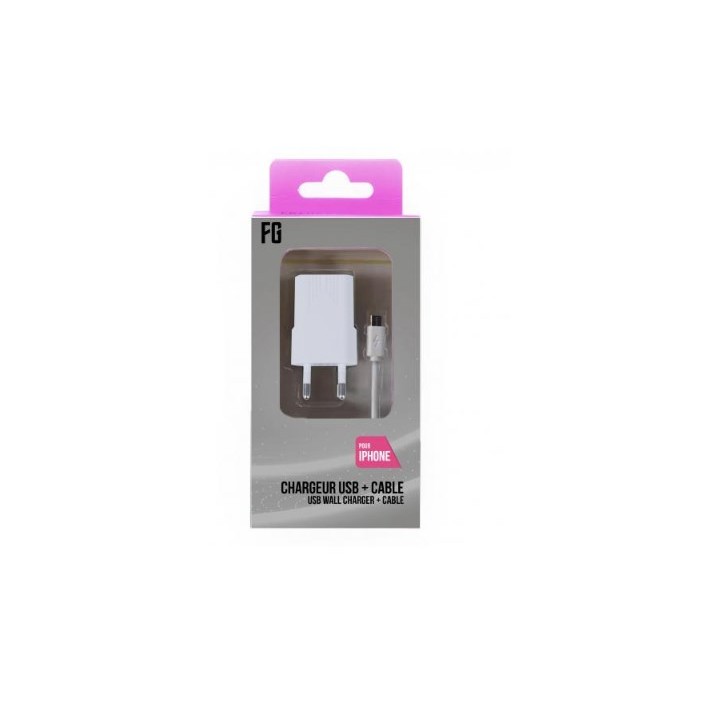 White iPhone cable + AC adapter 5/6/7/8/X 1A 1m white CA109