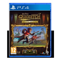 Harry Potter: Campioni di Quidditch