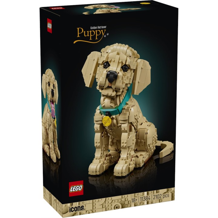 LEGO 11384 ICONS - Cucciolo di Golden Retriever