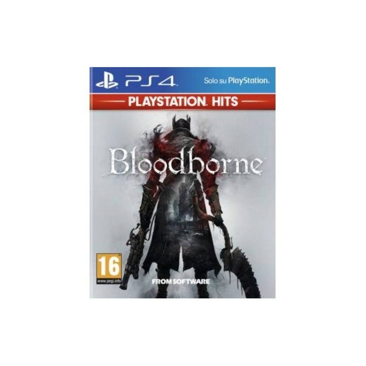 Bloodborne (Hits)