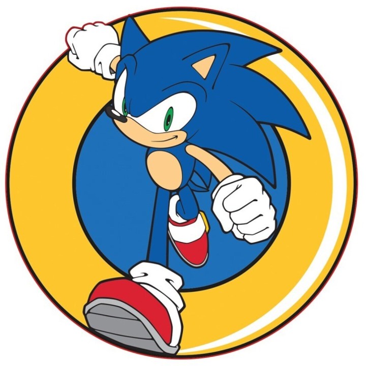 Cuscino Sonic the Hedgehog : Sonic Running