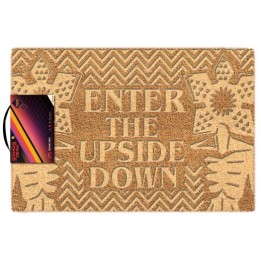 PYRAMID ZERBINO STRANGER THINGHS (ENTER THE UPSIDE DOWN) EMBOSSED DC