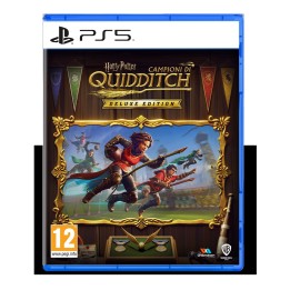 Harry Potter: Campioni di Quidditch