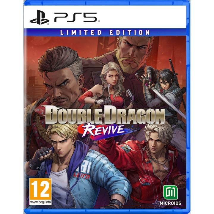 Double Dragon Revive - Limited Edition