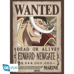 ABYSTYLE ONE PIECE - Poster: "Wanted Whitebeard" (52x38)