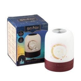 ERIK. LAMPADA PER AMBIENTE HARRY POTTER HEDWIG