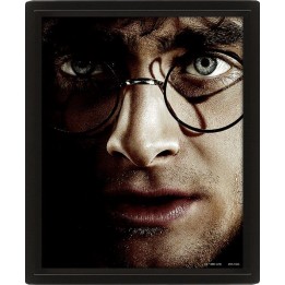 PYRAMID HARRY POTTER (HARRY VS VOLDEMORT) - POSTER 3D LENTICULAR INCORNICIATO