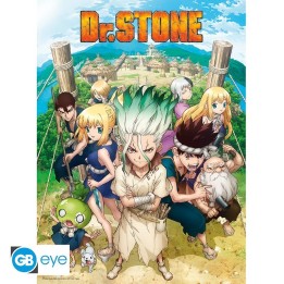 ABYSTYLE DR STONE - Poster 52x38 : " Group"