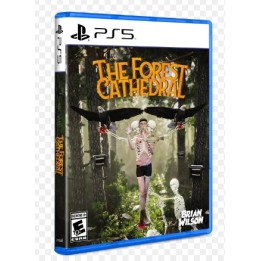 THE FOREST CATHEDRAL