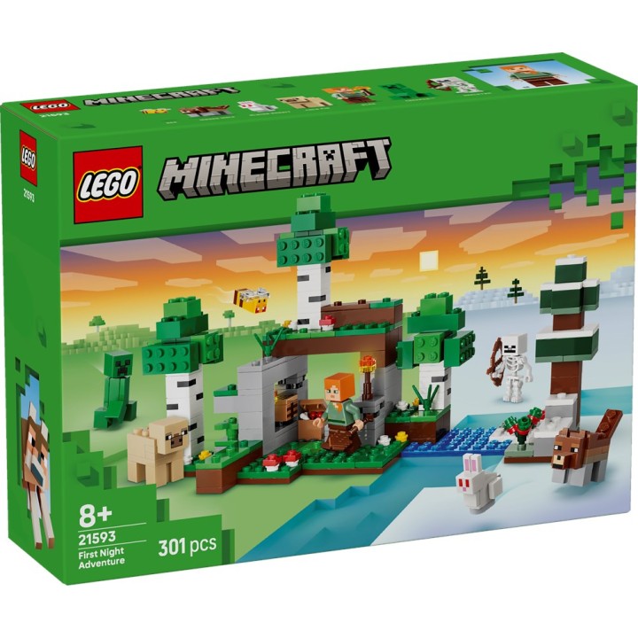 LEGO 21593 MINECRAFT - Avventura della prima notte