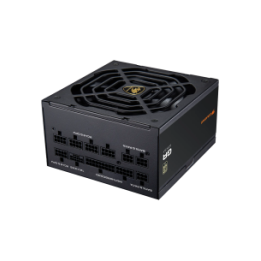 COUGAR ALIM GR 1000 1000W 80+ GOLD ATX 3.1 PCIE 5.1 FULL M 100 JAPANE.