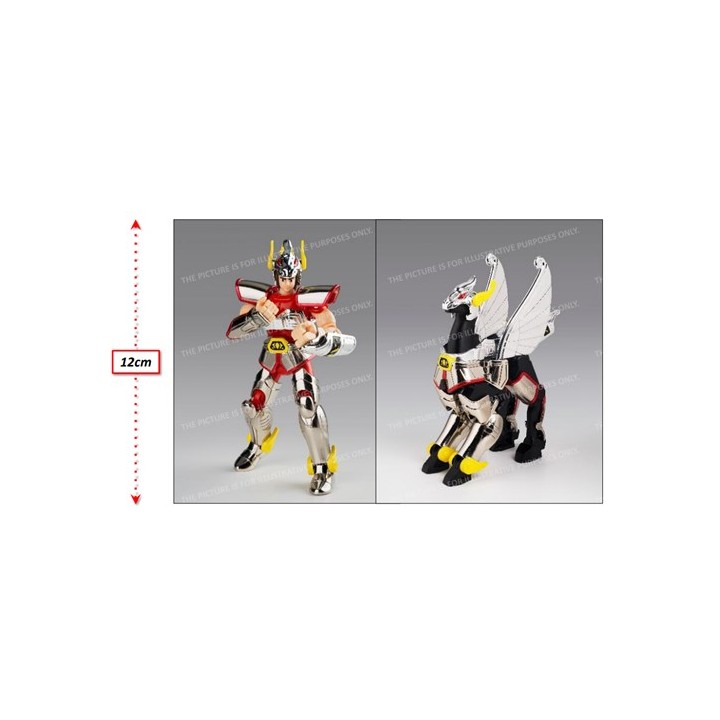 BANDAI SAINT CLOTH MYTH - AINT CLOTH SERIES PEGASUS CLOTH FIRST