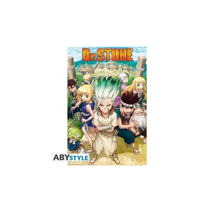 ABYSTYLE DR STONE - Poster - "Groupe" (91.5x61)