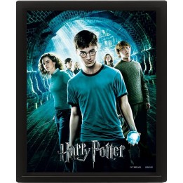PYRAMID HARRY POTTER (ORDER OF THE PHOENIX) - POSTER 3D LENTICULAR INCORNICIATO