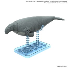 BANDAI PLANNOSAURUS Hydrodamalis gigas