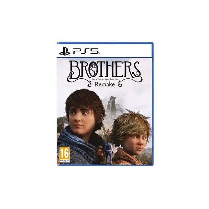 BROTHERS: A TALE OF TWO SONS REMAKE STANDARD