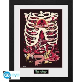 ABYSTYLE RICK AND MORTY - Poster incorniciato: "Anatomy Park" (30x40)