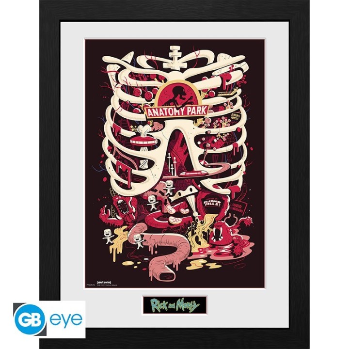 ABYSTYLE RICK AND MORTY - Poster incorniciato: "Anatomy Park" (30x40)