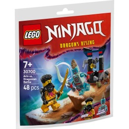 LEGO 30700 Battaglia di Arin vs. Dragoniano