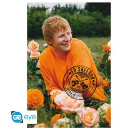 ABYSTYLE ED SHEERAN - Poster grande: "Rose Field" (91.5x61)