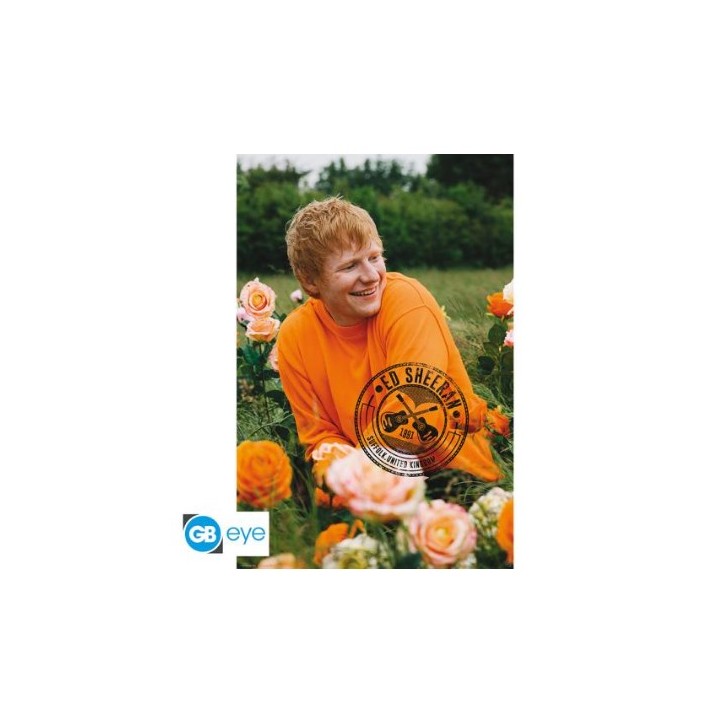 ABYSTYLE ED SHEERAN - Poster grande: "Rose Field" (91.5x61)