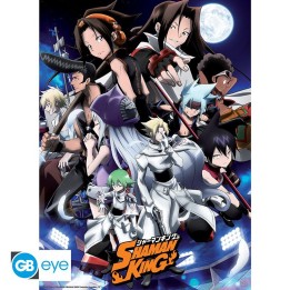 ABYSTYLE SHAMAN KING - Poster piccolo: "Shaman Fight" (52x38)