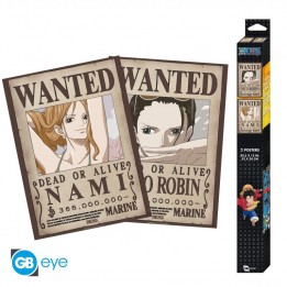 ABYSTYLE ONE PIECE - Set 2 Poster 52x38: "Nami & Robin"