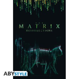 ABYSTYLE THE MATRIX - Poster grande: "Cat" (91.5x61)