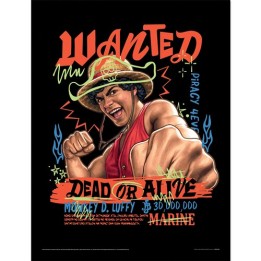 PYRAMID ONE PIECE LIVE ACTION SERIES 2 (LUFFY GRAPHIC) COLLECTOR PRIN.