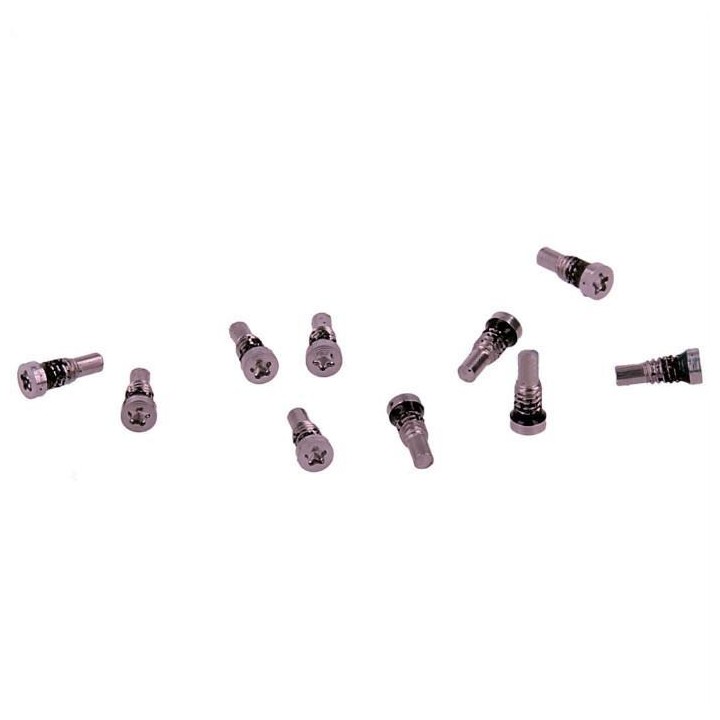 10 VITI TORX PER APPLE IPHONE 8G / SE 2020 / SE 2022 4.7 / IPHONE 8 P.