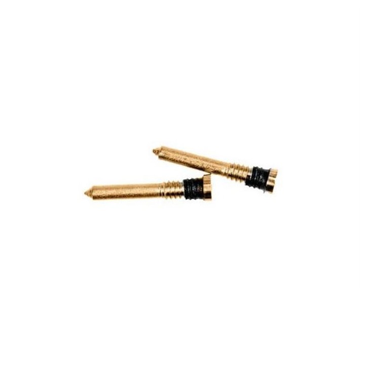 10 VITI TORX PER APPLE IPHONE X 5.8 / IPHONE XR 6.1 / IPHONE XS 5.8 /.