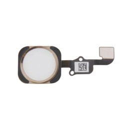 TASTO HOME E FLEX COMPLETO PER IPHONE 6S 4.7 / IPHONE 6S PLUS 5.5 ORO.