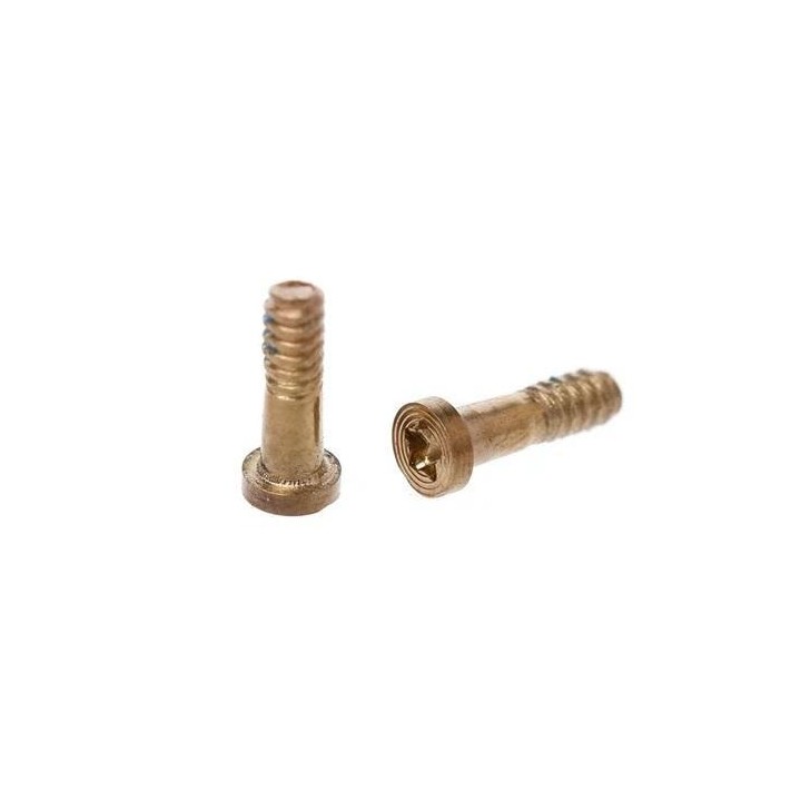 10 VITI TORX PER IPHONE5S IPHONE 5S ORO