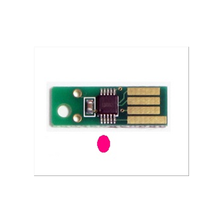 Chip per Epson aculaser C2900N magenta